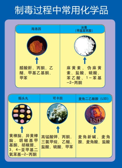 解讀易制毒化學品進出口 法規、流程與風險管理